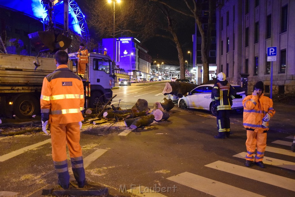 Baum auf PKWs Koeln Mitte Rheinuferstr Goldgasse P020.JPG - Miklos Laubert